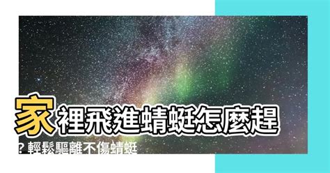 蜻蜓 預兆|【家裡飛進蜻蜓】家裡飛進蜻蜓，代表好運還是厄運？揭密蜻蜓飛。